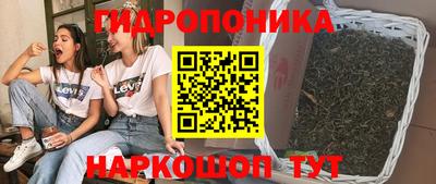 хмурый Новозыбков