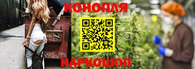 дмт Новокубанск