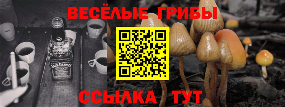 Галлюциногенные грибы Magic Shrooms  Вход с VPN  Галлюциногенные грибы MAGIC MUSHROOMS  Ханты-Мансийск 